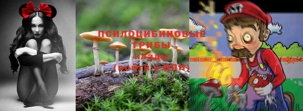 дживик Алзамай