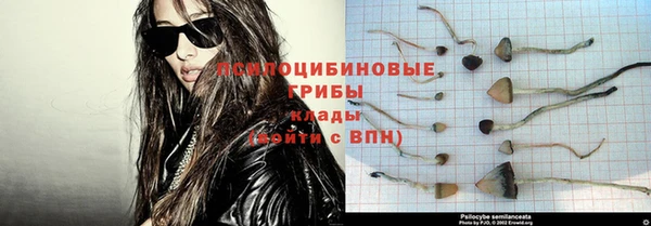 ешки Алексин