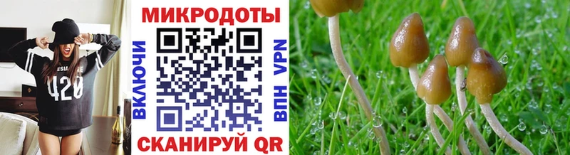 Галлюциногенные грибы GOLDEN TEACHER  ОМГ ОМГ онион  Белый 